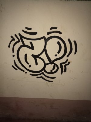 inbound8499325202874046004.jpg