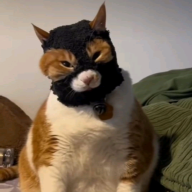 deptroaitube