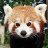 Red Panda